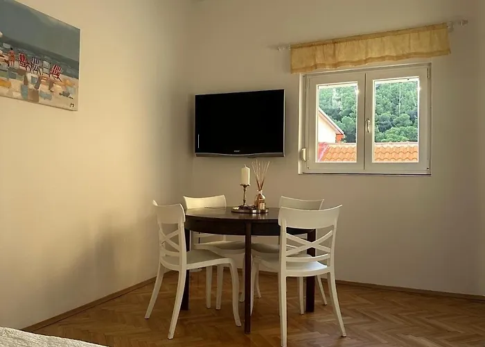 With Wifi Novigrad - 24906 Apartment *